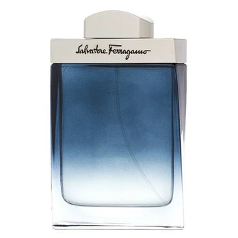 Ferragamo Subtil Pour Homme Eau De Toilette 100 ml Kvepalai