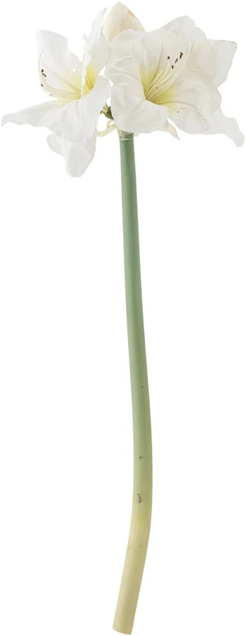 Bloomingville - Amaryllis Stem - Baltas