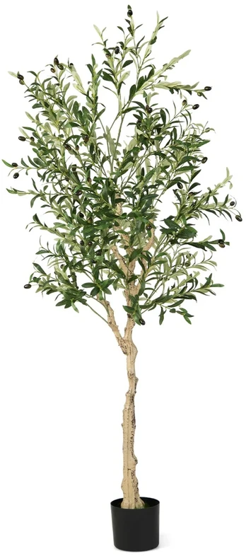 Dirbtinis alyvmedis 182.9 cm 1 vnt.