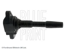 Ritė, uždegimas BLUE PRINT ADN114239