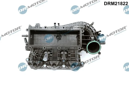 Įsiurbimo kolektoriaus modulis Dr.Motor Automotive DRM21822