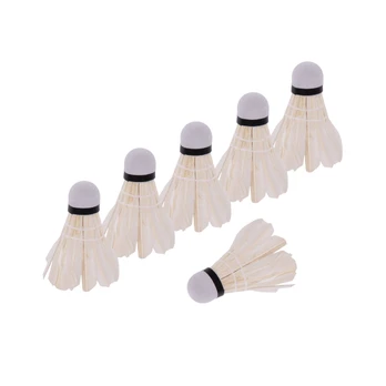 Badmintono skraidukas W205BB, 6 vnt.