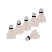 Badmintono skraidukas W205BB, 6 vnt. kaina