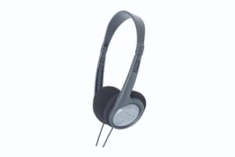 Ausinės Panasonic RP-HT030E-H kaina