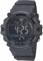 Laikrodis vyrams Casio kaina