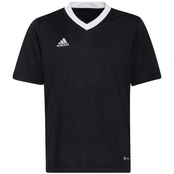 Adidas marškinėliai