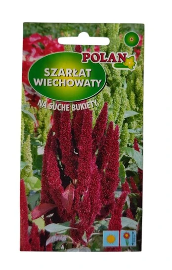 Raibasis burnotis Polan