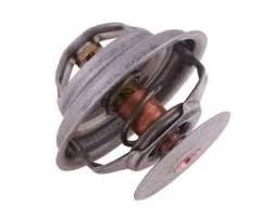 Termostatas 218039A1P Case