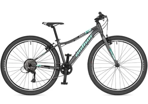 Author Limit 27.5 Ritual Sidabrinis 14''