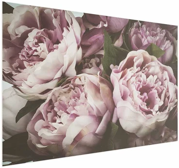 Artgeist Plakatas - Rožinė Peonies