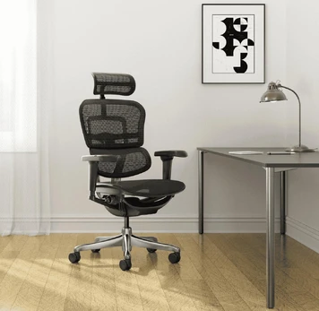 Biuro kėdė Ergohuman ELITE BS Black