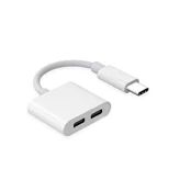 RoGer JH-032 USB-C to 2x USB-C Audio adapter + Charging kaina