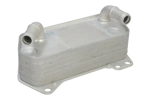 Alyvos radiatorius THERMOTEC D4A029TT