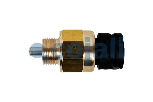 kontrolinis jungiklis 2260341COJ