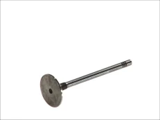 FRECCIA 6197/S Inlet valve kaina