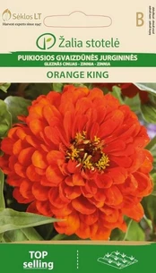Puikiosios gvaizdūnės jurgininės ORANGE KING