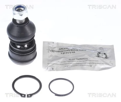 Šarnyras / girgždukas TRISCAN 8500 42561