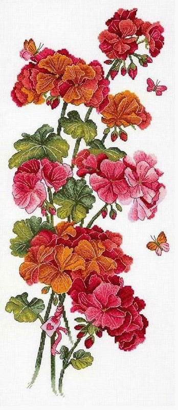 Geranium SNV-742