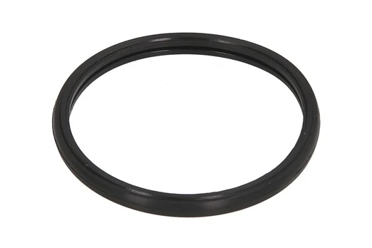 Termostato tarpinė ELRING EL460790