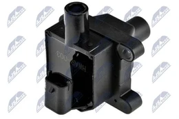 Ritė, uždegimas NTY ECZ-AR-003
