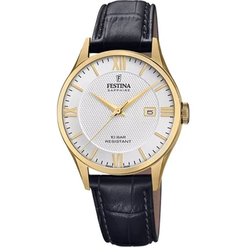 Vyriškas laikrodis Festina F20010/2