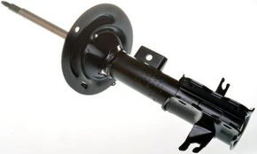 Amortizatorius DENCKERMANN DSB093G