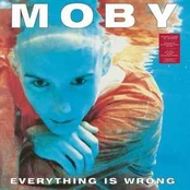 Vinyl (LP) Moby - Everything Is Wrong