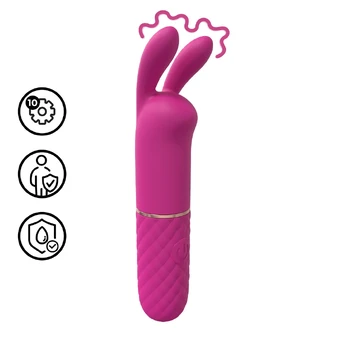 Mini Rabbit Vibrator Pink - Dual Action, Rechargeable, Waterproof, 10 Modes