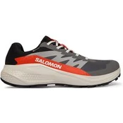 Bėgimo batai Salomon Alphaglide Gore-Tex L47975300 Pilka