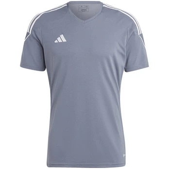 Marškinėliai vyrams Adidas, pilki