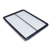 Oro filtras BLUE PRINT ADG022143 kaina