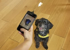 Dog Treat Selfie Clip (DIG01) kaina