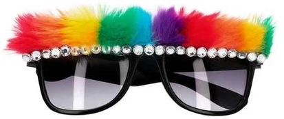 Boland Party Partners B.V. Pride briller