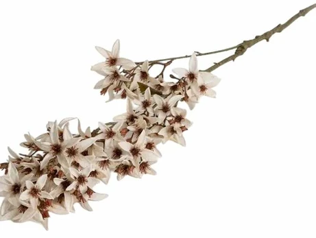 Dirbtinė šakelė Homla Basic Noora, ruda sp./balta sp., 95 cm x 13 cm