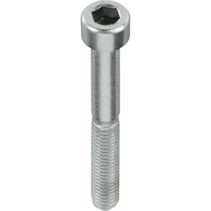 Varžtas DIN 912 Haushalt, 12 mm x 100 mm, 50 vnt.