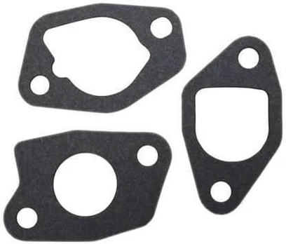 KIT, INTAKE GASKET, MTD
