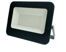 Prožektorius Standart E024EI, 70 W, 6000 lm, 4000 °K, IP65, pilkas kaina