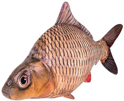 Fancy minkštas Karpis 50 cm
