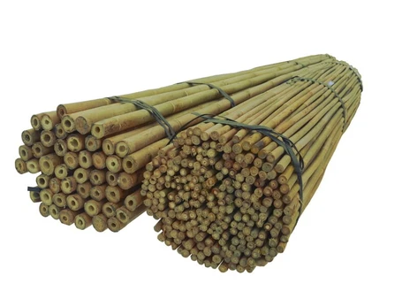 Bambukinės lazdos 60 cm 8/10 mm, 25 vnt.