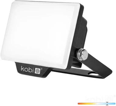 10W LED prožektorius DELYO MHN, juodas, 6000K, IP65