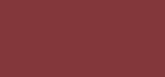 L'Oreal Colour Riche Blurred Matte Lipstick 4.3 g