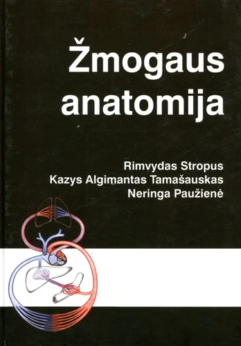 Žmogaus anatomija
