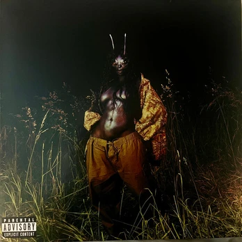 Vinyl (LP) SZA – SOS Deluxe: Lana (2LP)