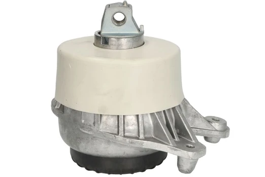 Variklio montavimas TEDGUM TED94878