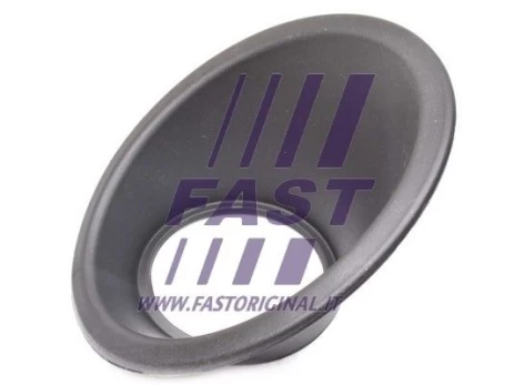 Rėmas, rūko žibintas FAST FT91641