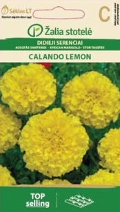 Didieji serenčiai Calando Lemon