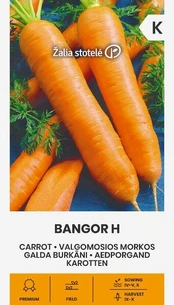 Morkos Valgomosios Bangor H
