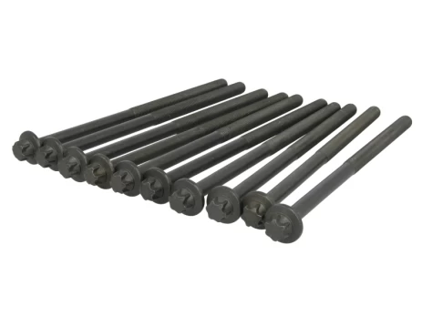 ELRING EL584500 Cylinder head bolt set