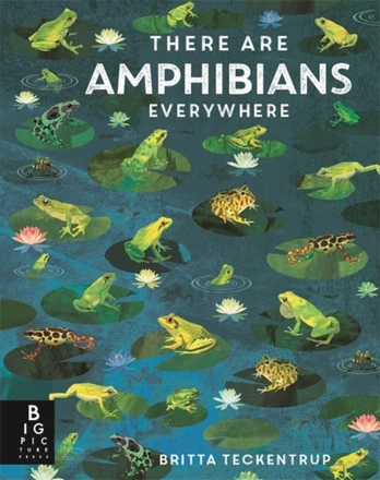 There Are Amphibians Everywhere