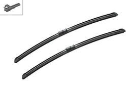 Valytuvai BOSCH 3397118938